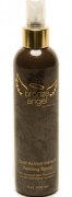 Заказать DreamTan Bronze Angel spray 236 мл