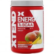 Заказать Scivation XTend Energy 348 гр